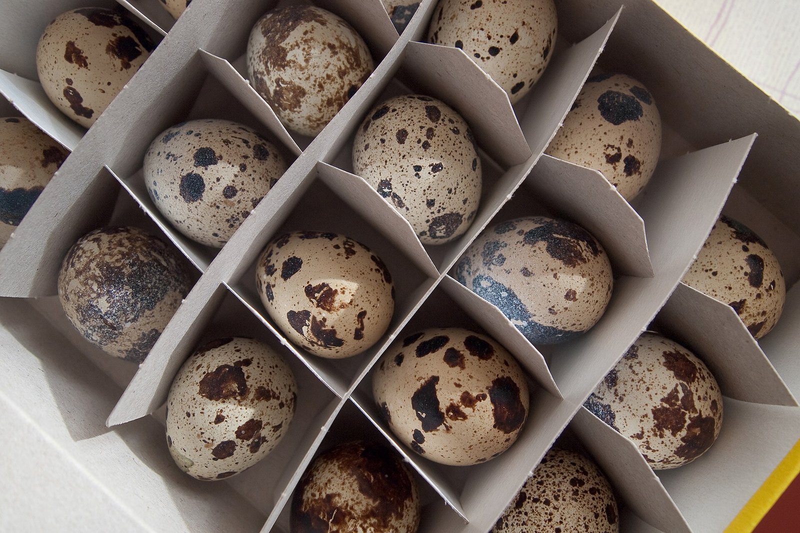 Packed quail eggs ready for delivery
