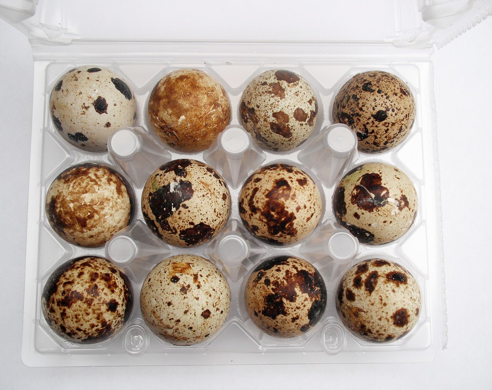 Quail eggs in protective packaging